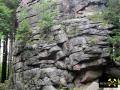 Feuersteinklippen bei Schierke im Harz, Sachsen-Anhalt, (D) Brockengranit - Oberkarbon (8) 26. Juni 2012.JPG